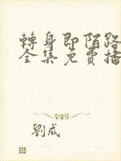 转身即陌路短剧全集免费播放下载