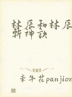 林辰和林辰九天斩神诀