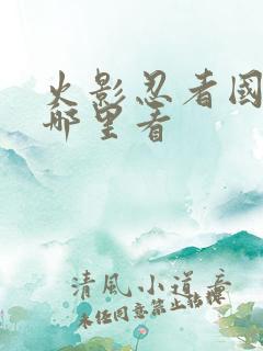 火影忍者国语版哪里看