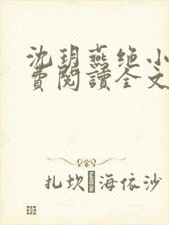 沈玥燕绝小说免费阅读全文最新章节