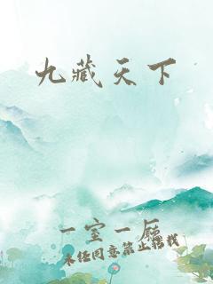 九藏天下