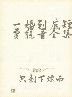 一婚到底短剧免费观看全集