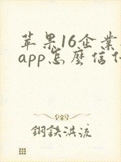 苹果16企业级app怎么信任