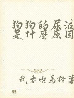 狗狗的尿液很黄是什么原因