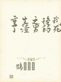 重生之后我嫁给了渣男的死对头短剧