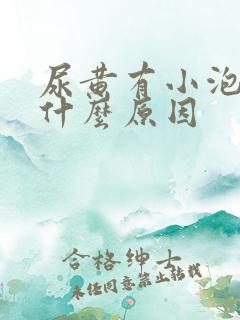 尿黄有小泡泡是什么原因