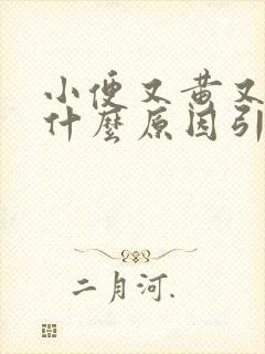 小便又黄又骚是什么原因引起的