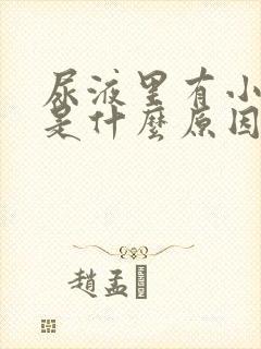 尿液里有小血块是什么原因