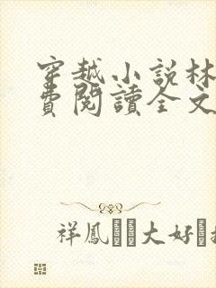 穿越小说林丰免费阅读全文