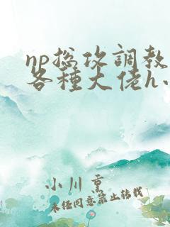np总攻调教j各种大佬h小说