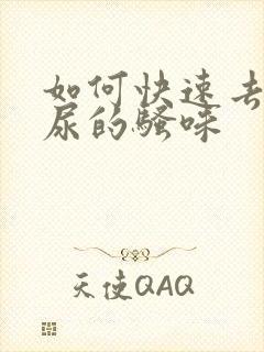 如何快速去除猫尿的骚味