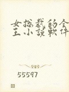 女总裁的全能兵王小说软件