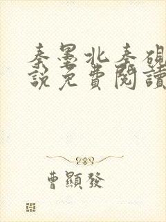 秦墨北秦砚西小说免费阅读最新章节