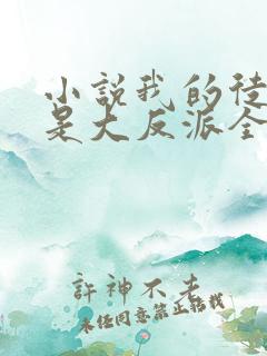 小说我的徒弟都是大反派全文在线阅读