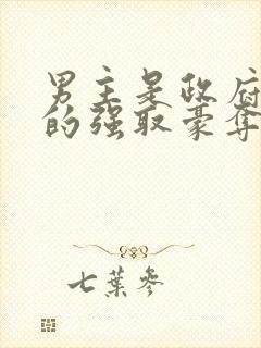 男主是政府高官的强取豪夺高干文