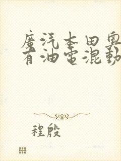 广汽本田奥德赛有油电混动版
