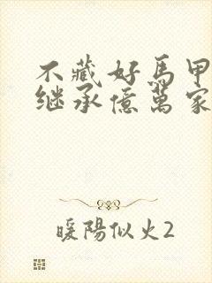 不藏好马甲就要继承亿万家产txt