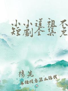 小小道祖不好惹短剧全集免费观看