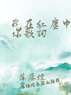 我在红尘中遇见你歌词