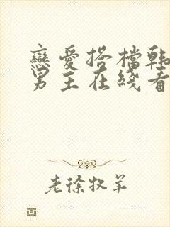 恋爱搭档韩剧双男主在线看