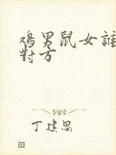 鸡男鼠女谁更爱对方