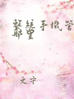 系统手机管家在哪里