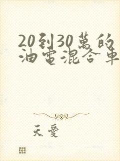 20到30万的油电混合车