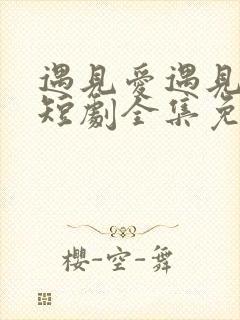 遇见爱遇见幸福短剧全集免费版