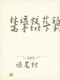 林逸校花的贴身高手txt下载