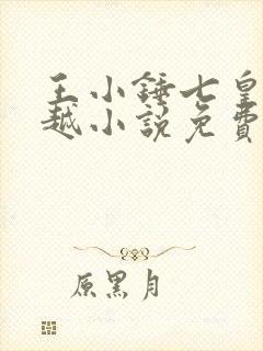 王小锤七皇子穿越小说免费阅读