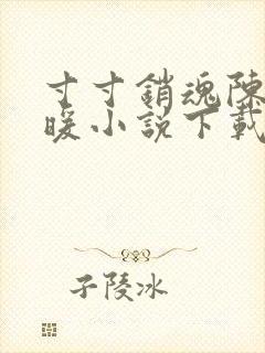 寸寸销魂陈聪王暖小说下载