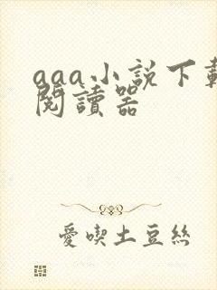 aaa小说下载阅读器