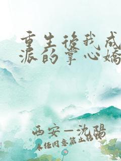 重生后我成了反派的掌心娇