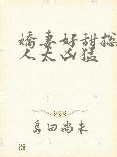 娇妻好甜总裁大人太凶猛