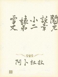 雪姨小说阅读全文第二章免费阅读