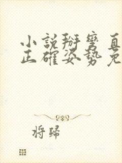 小说掰弯直男的正确姿势免费