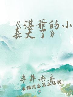 《湛爷的小妖精长大了》