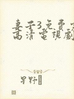 妻子3免费完整高清电视剧在线