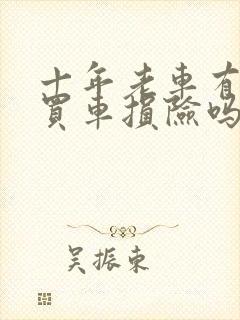 十年老车有必要买车损险吗