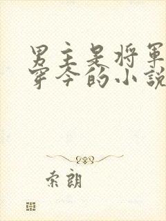 男主是将军的古穿今的小说