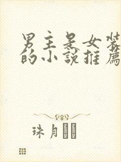 男主是女装大佬的小说推荐