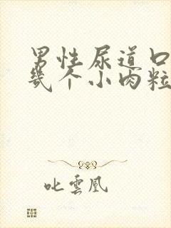 男性尿道口长了几个小肉粒