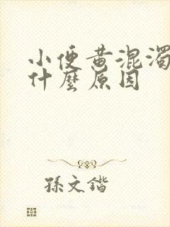 小便黄混浊女性什么原因