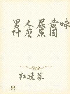 男人尿黄味重是什么原因