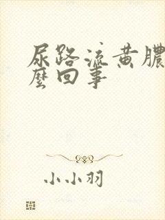 尿路流黄脓是怎么回事