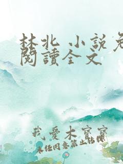 林北 小说免费阅读全文