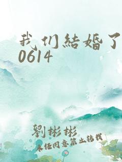 我们结婚了130614