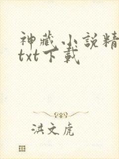 神藏小说精校版txt下载