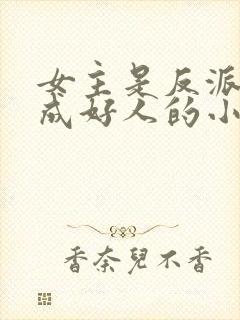 女主是反派却装成好人的小说