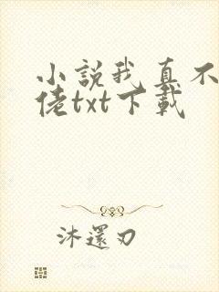 小说我真不是大佬txt下载